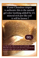 Raw Organic Chondrus crispus Irish Seamoss 60 (Ireland)